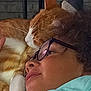 Garfield participe au concours pour gagner de l'argent avec cette photo : cat, person, glasses, face, closeup, snuggling, ginger_cat, white_cat, curly_hair, indoors, friendship, comfort, pet, animal, head, hand, resting, cozy, love, affection
