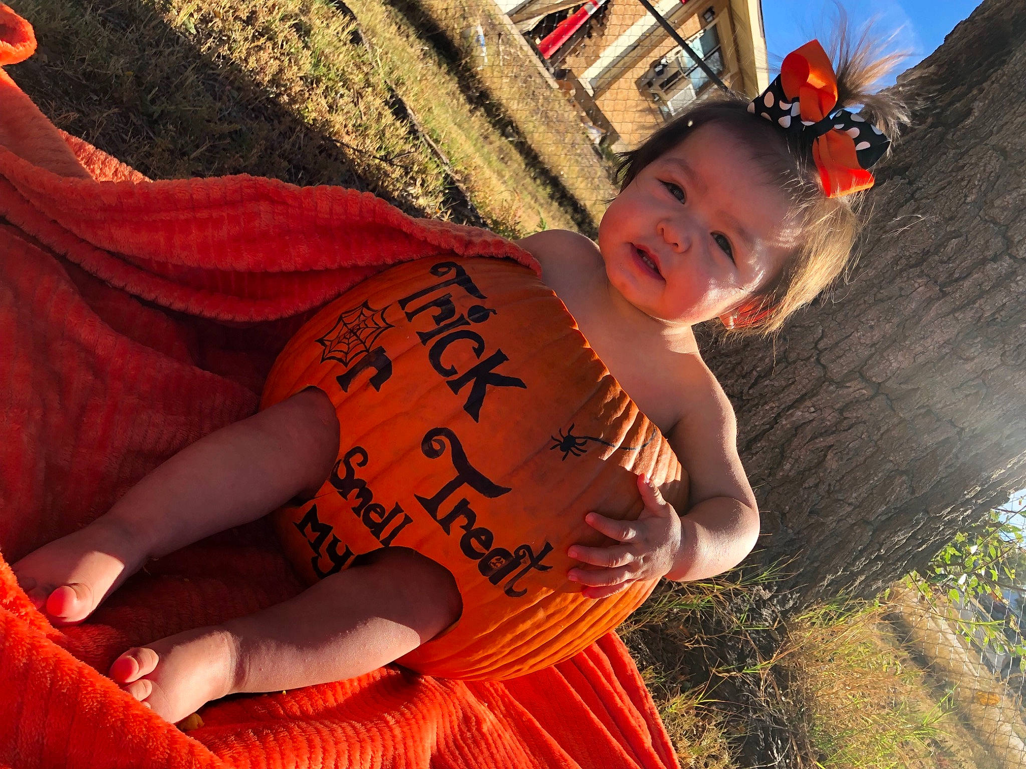 Everleigh joined the competition — help win amazing prizes! baby, child, cool, facial_expression, finger, fun, grass, hand, happy, human_body, leaf, leisure, mouth, muscle, orange, people_in_nature, person, skin, thigh, toddler