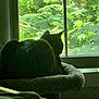 cat, window, greenery, silhouette, nature, indoor, pet_bed, leaf, plant, feline, sunlight, shadow, relaxing, cozy, quiet, home, domestic, animal, resting, looking_out