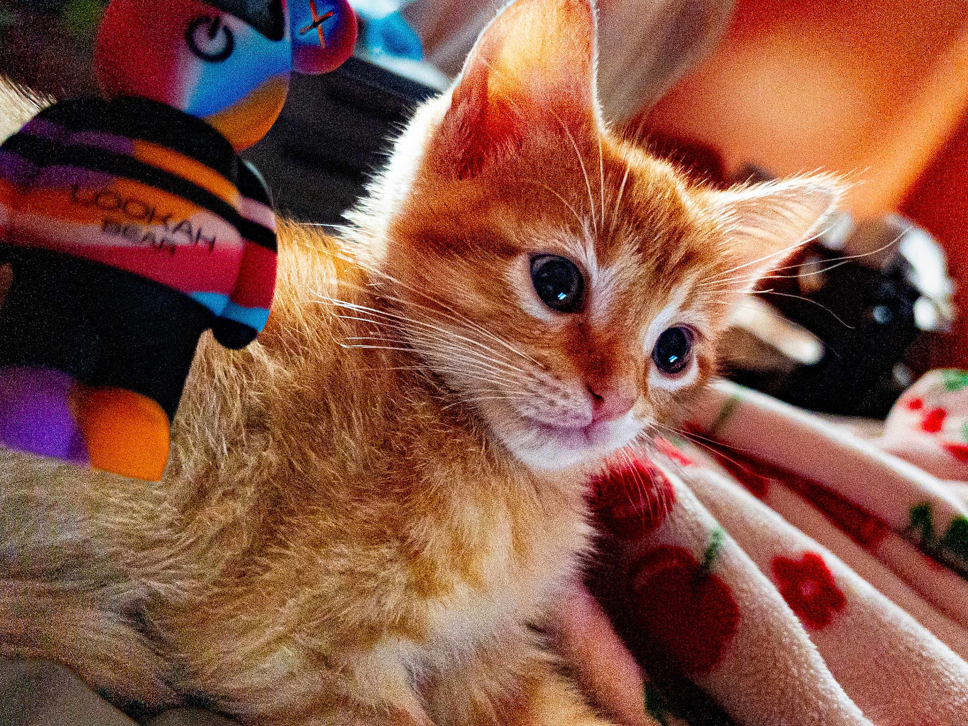 Copper