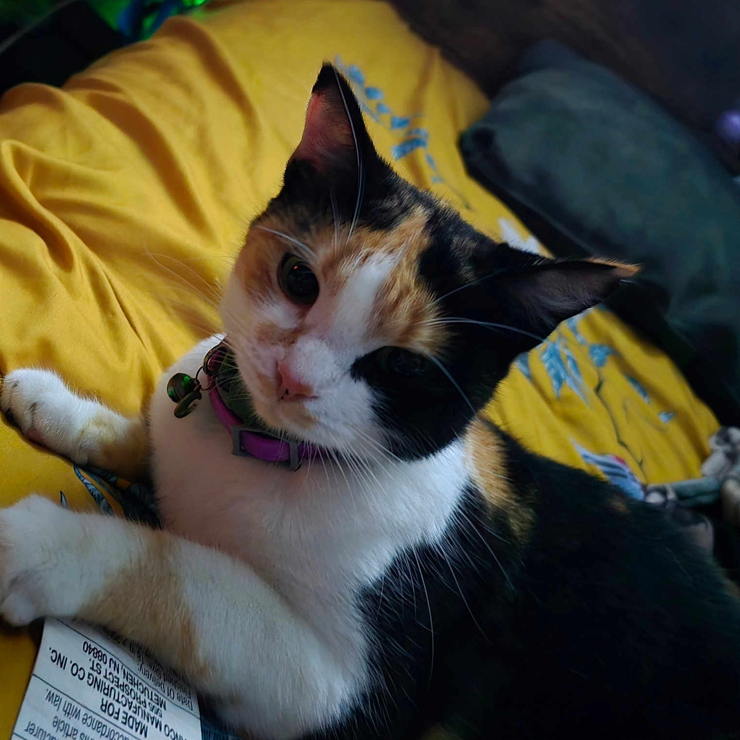 Luna