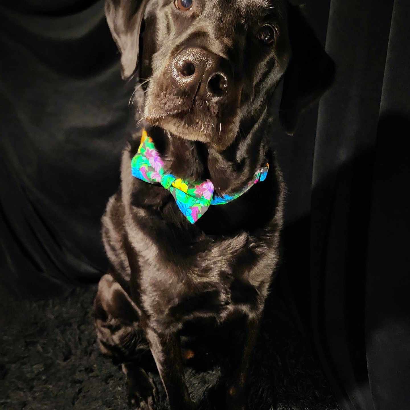 Rudy