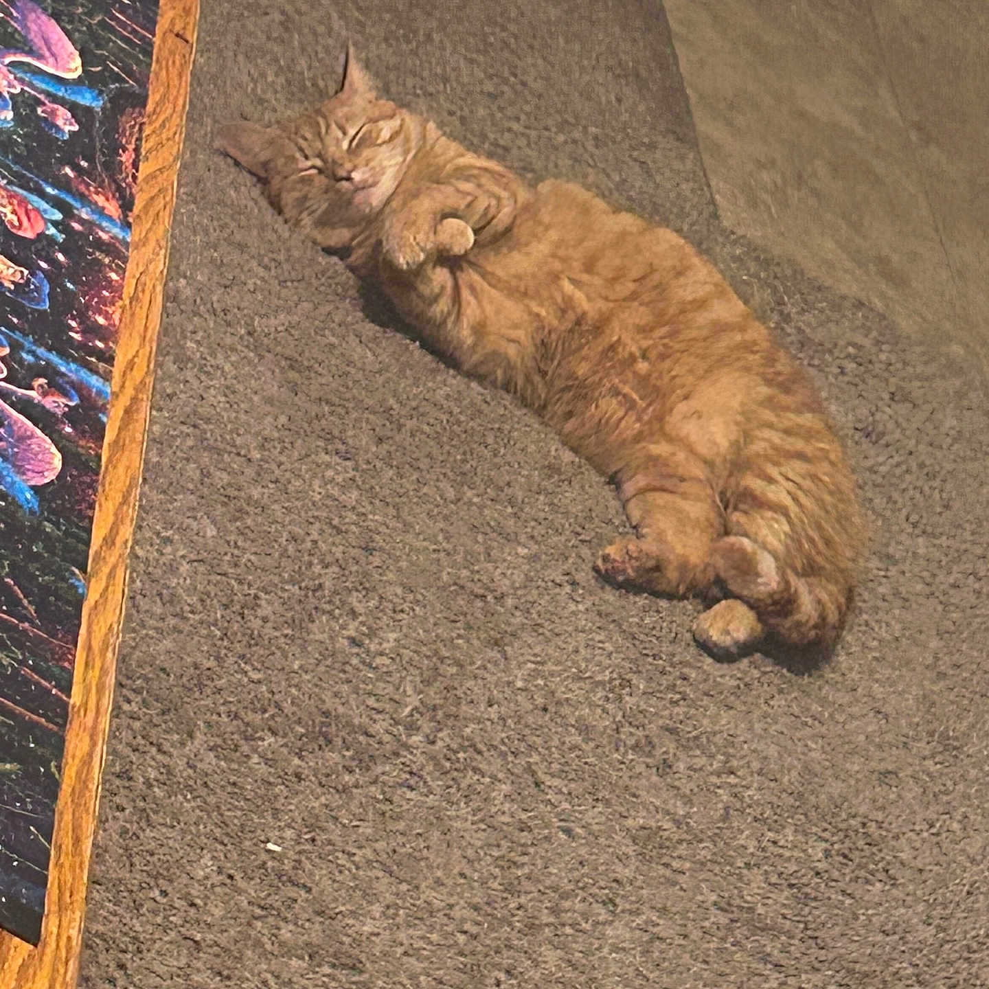 Oliver