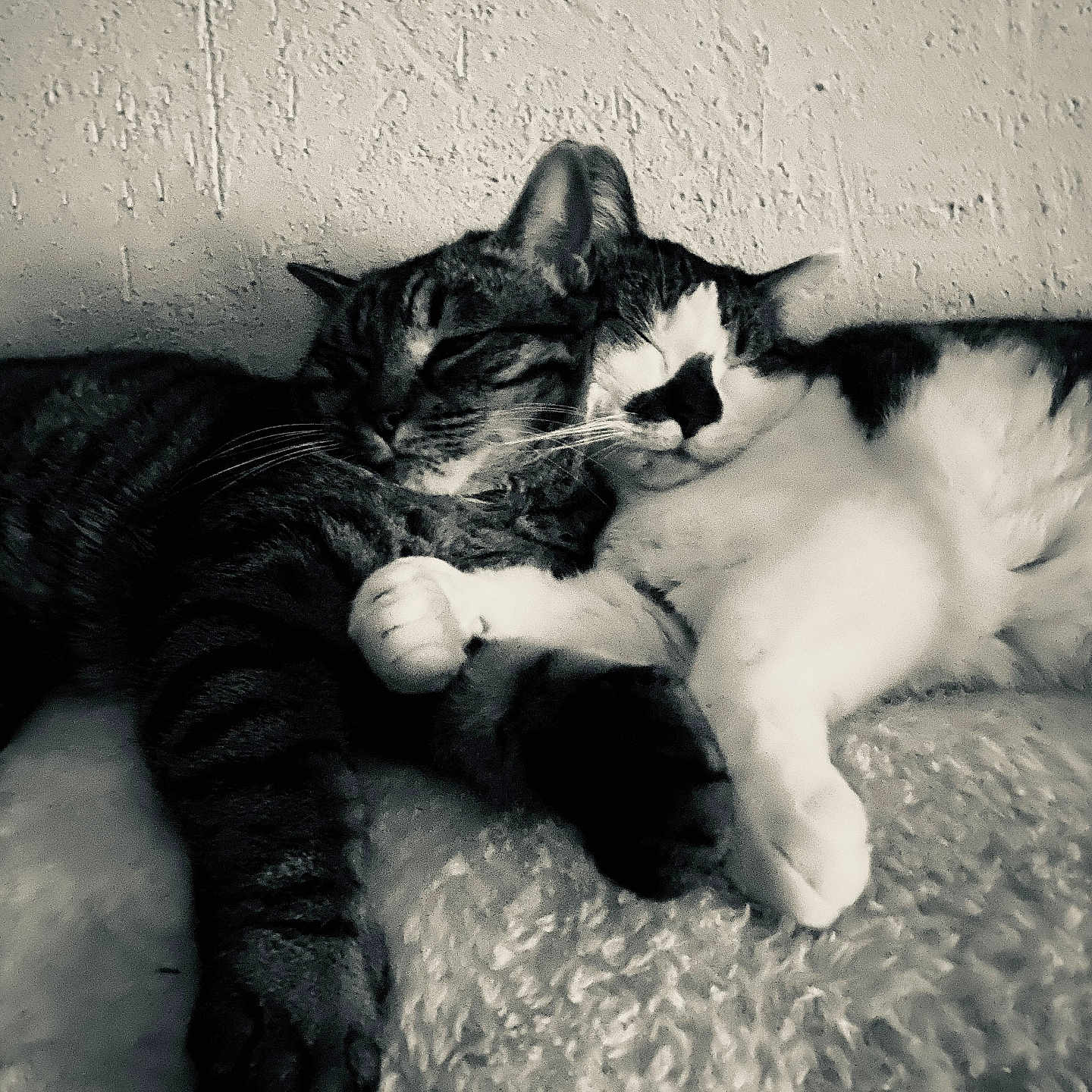 Tendresse