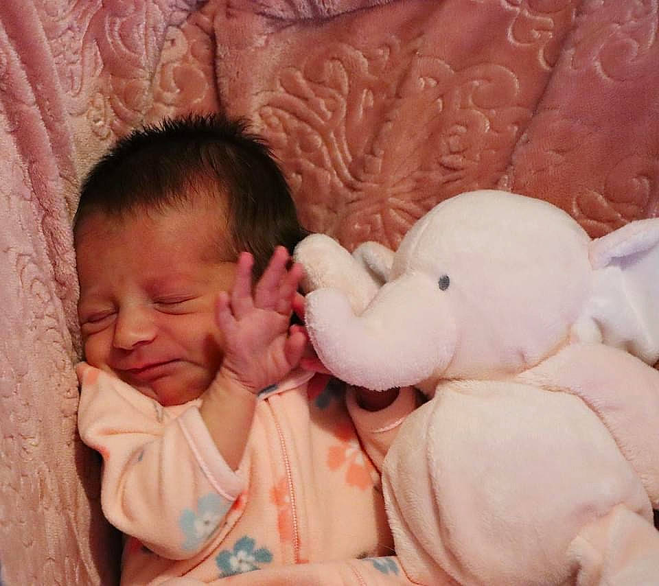 Raelynn Norris joined the competition — help win amazing prizes! baby, baby_products, baby_toddler_clothing, baby_toys, bedtime, cheek, child, comfort, interaction, linens, love, person, pink, plush, skin, sleep, stuffed_toy, toddler, toy