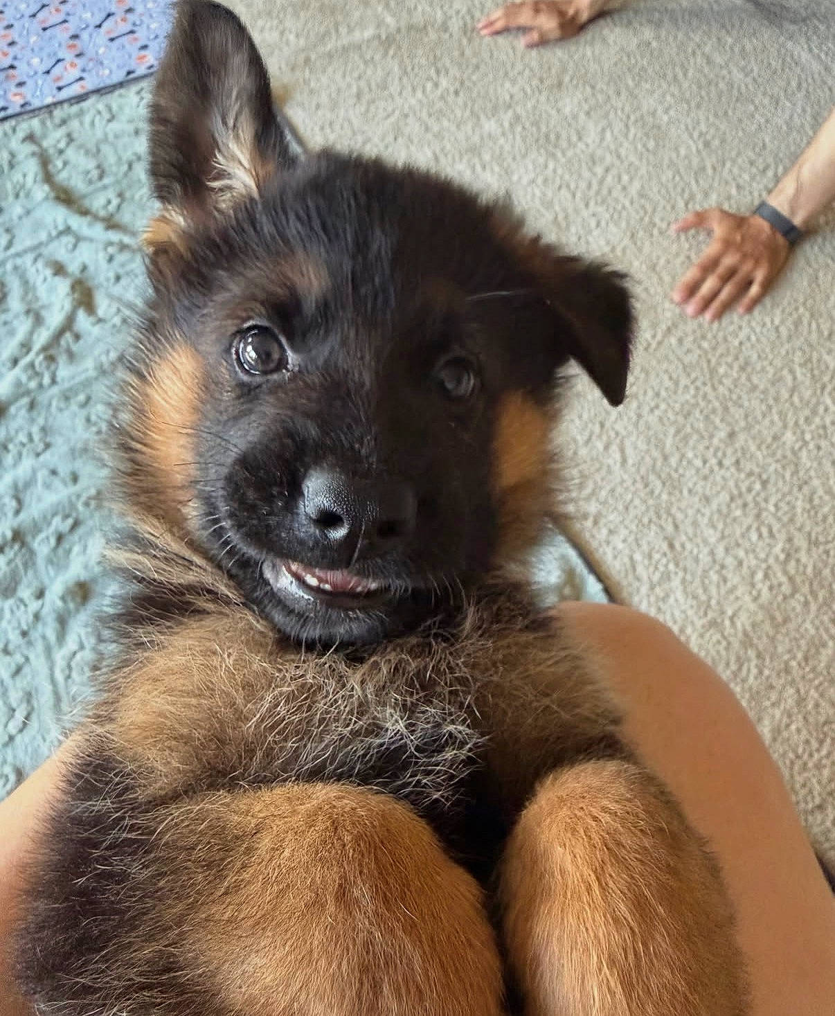 Jack