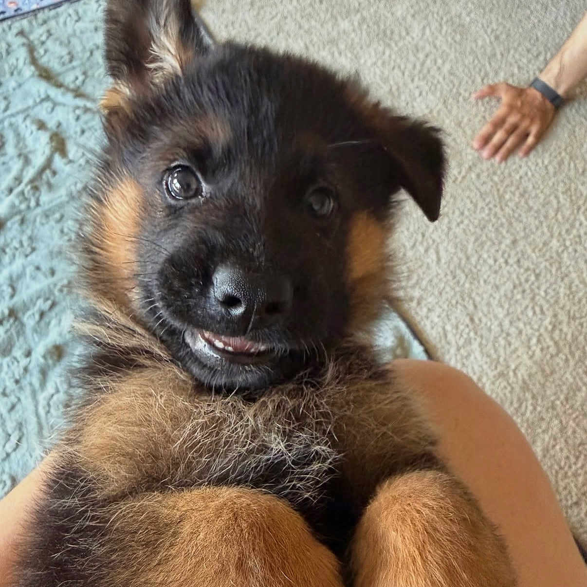 Jack