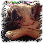 GUCCI participe au concours pour gagner de l'argent avec cette photo :