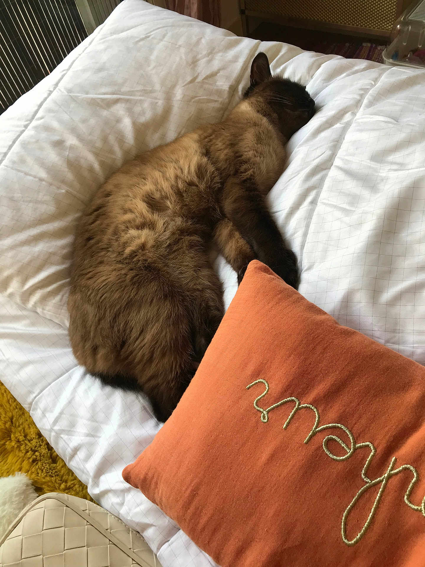 Taya a rejoint le concours — aidez-le/la à gagner de superbes lots ! cat, siamese, sleeping, bed, white_bedding, pillow, orange_cushion, indoor, furniture, fur, pet, cozy, resting, animal, domestic, relaxation, soft, warm, comfortable, home