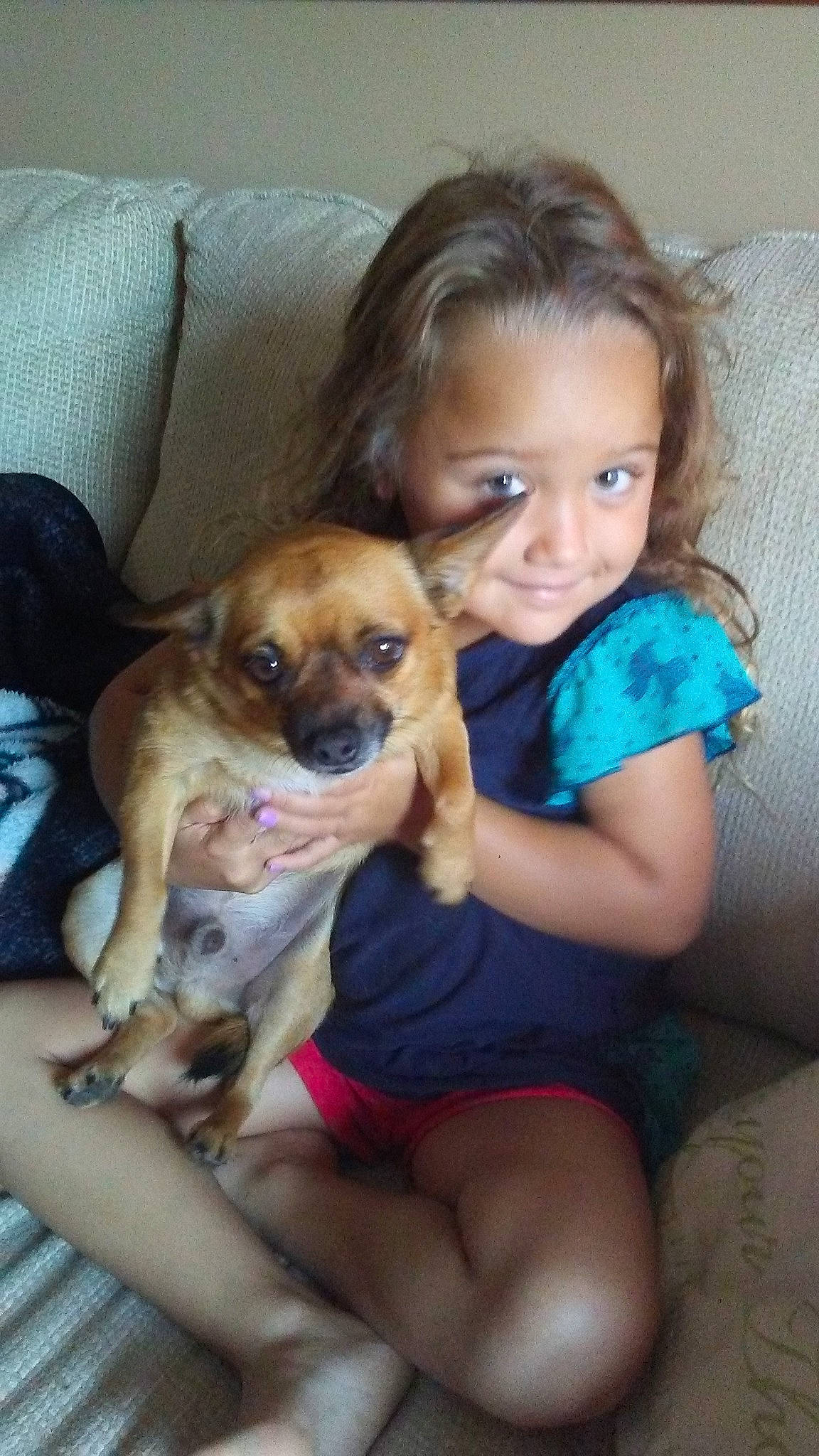 Jaylyn joined the competition — help win amazing prizes! canidae, carnivore, chihuahua, child, companion_dog, dog, dog_breed, fawn, mammal, person, puggle, puppy, puppy_love, smile, snout, toy_dog