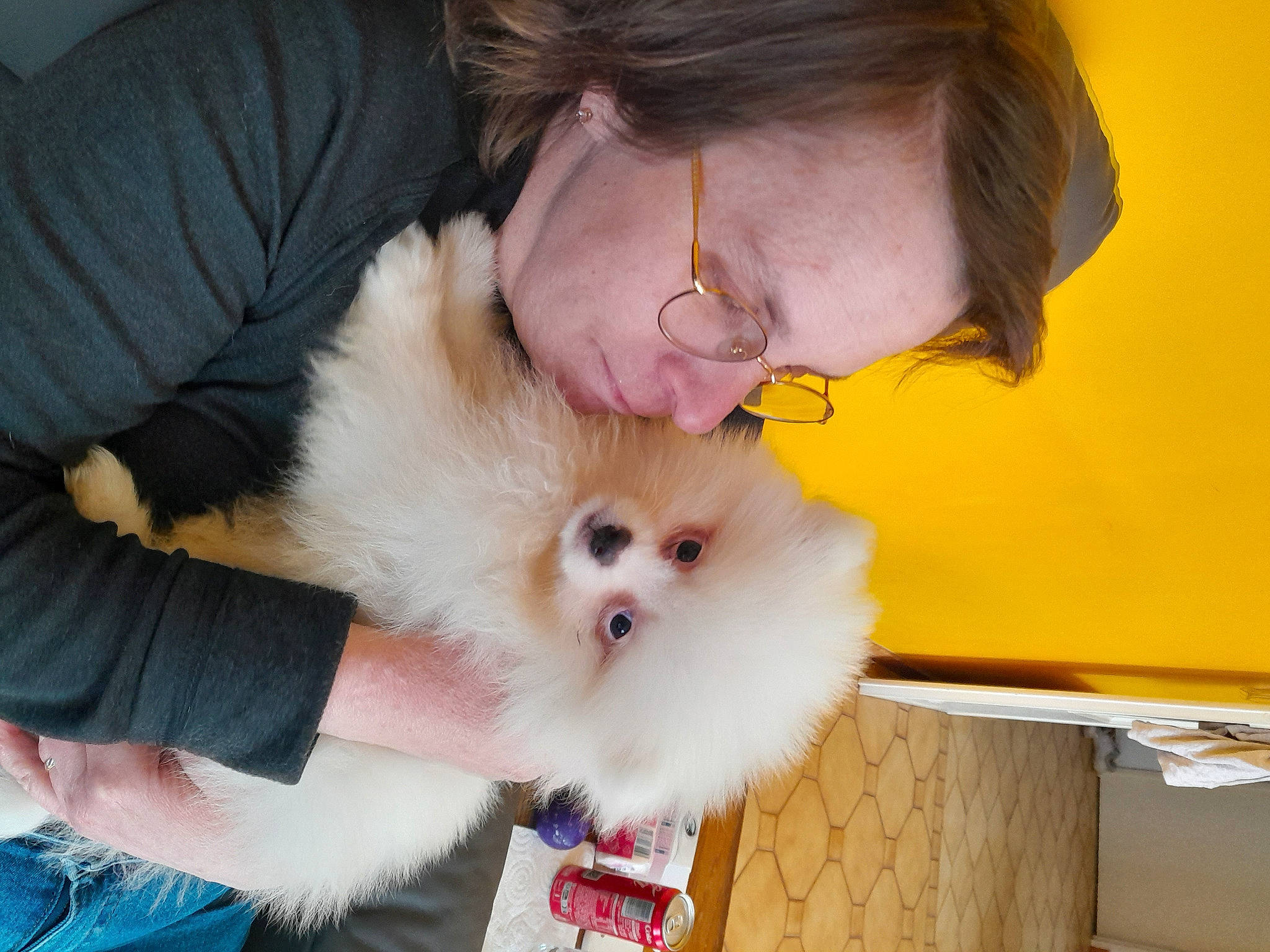Ugo participe au concours pour gagner de l'argent avec cette photo : canidae, carnivore, child, comfort, companion_dog, dog_breed, fawn, felidae, fun, fur, gesture, happy, lap, non_sporting_group, pomeranian, small_to_medium_sized_cats, spitz, sporting_group, toy_dog, whiskers