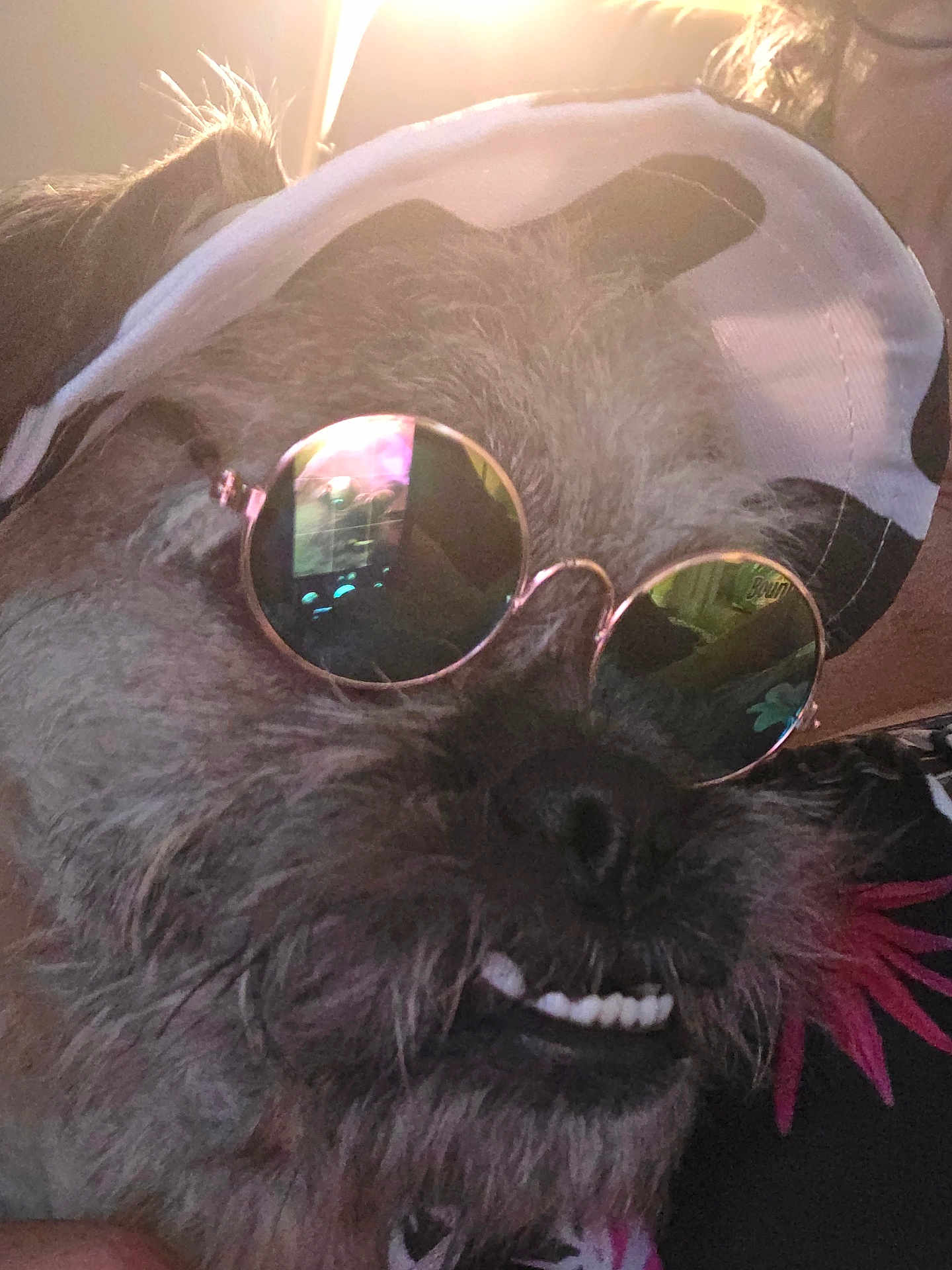 Gizmo