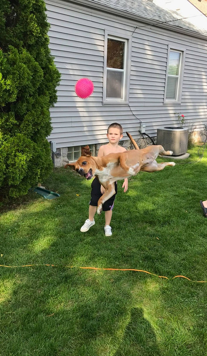 Luna Bear is registered to the contest to win money with this photo: backyard, barechested, fun, garden, grass, home, house, lawn, leisure, plant, yard