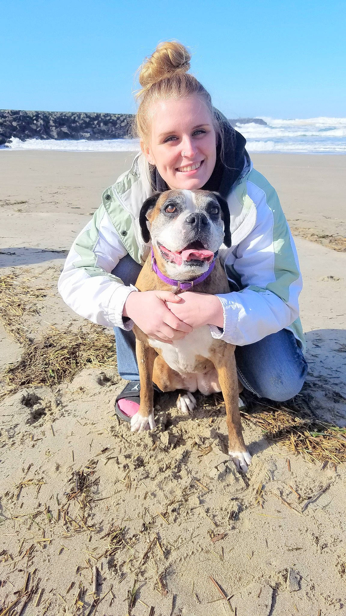 Lilly joined the competition — help win amazing prizes! adventure, beach, canidae, carnivore, companion_dog, dog, dog_breed, fawn, fun, joy, non_sporting_group, olde_english_bulldogge, perro_de_presa_mallorquin, person, potcake_dog, puppy_love, sand, summer, vacation