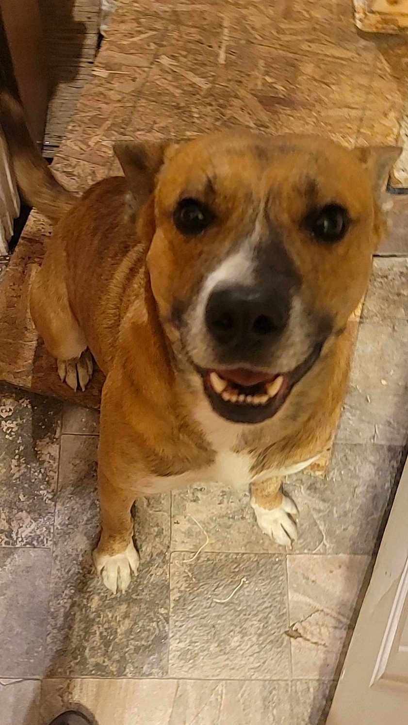 Duke
