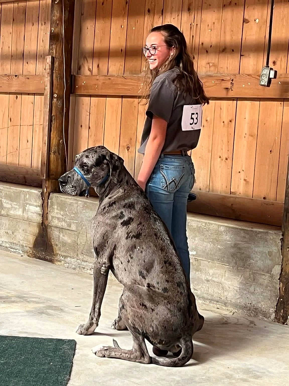 Waylon James is registered to the contest to win money with this photo: canidae, carnivore, companion_dog, denim, dog, dog_breed, door, fawn, fence, foot, fur, human_leg, sitting, snout, sporting_group, sunglasses, terrestrial_animal, thigh, wood, working_animal