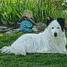 dog, canine, white_dog, black_and_white, fluffy, long_hair, lying_down, grass, garden, outdoor, lawn, plants, flowers, tree, statue, garden_ornament, hat, blue_character, pet, portrait