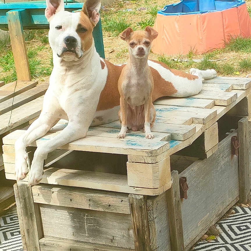 Raïka Et Chichi