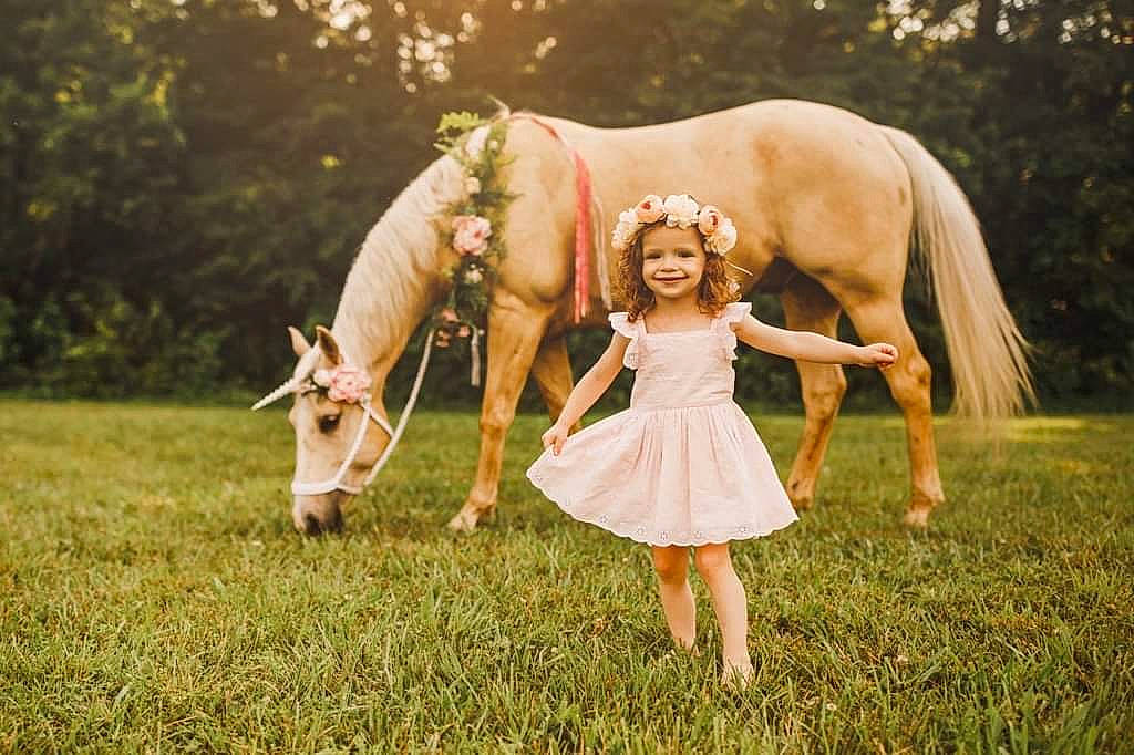 Tegan joined the competition — help win amazing prizes! bridle, dress, event, fawn, fun, grass, grassland, grazing, happy, headwear, horse, human_body, joy, leisure, mammal, meadow, people_in_nature, person, plant, recreation