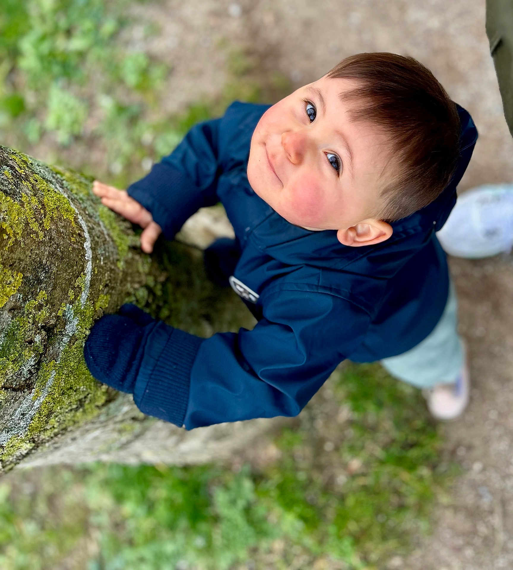 Tao participe au concours pour gagner de l'argent avec cette photo : child, toddler, tree, moss, outdoor, nature, grass, dirt, jacket, smile, face, person, young, cute, glove, play, happy, casual_clothing, looking_up, daylight