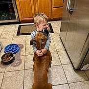 Birde is registered to the contest to win money with this photo: child, dog, hug, kitchen, tile_floor, brown_dog, refrigerator, cabinet, food_bowl, child_hugging_dog, pet, indoor, affection, cute, boy, animal, floor_mat, feeding, love, home
