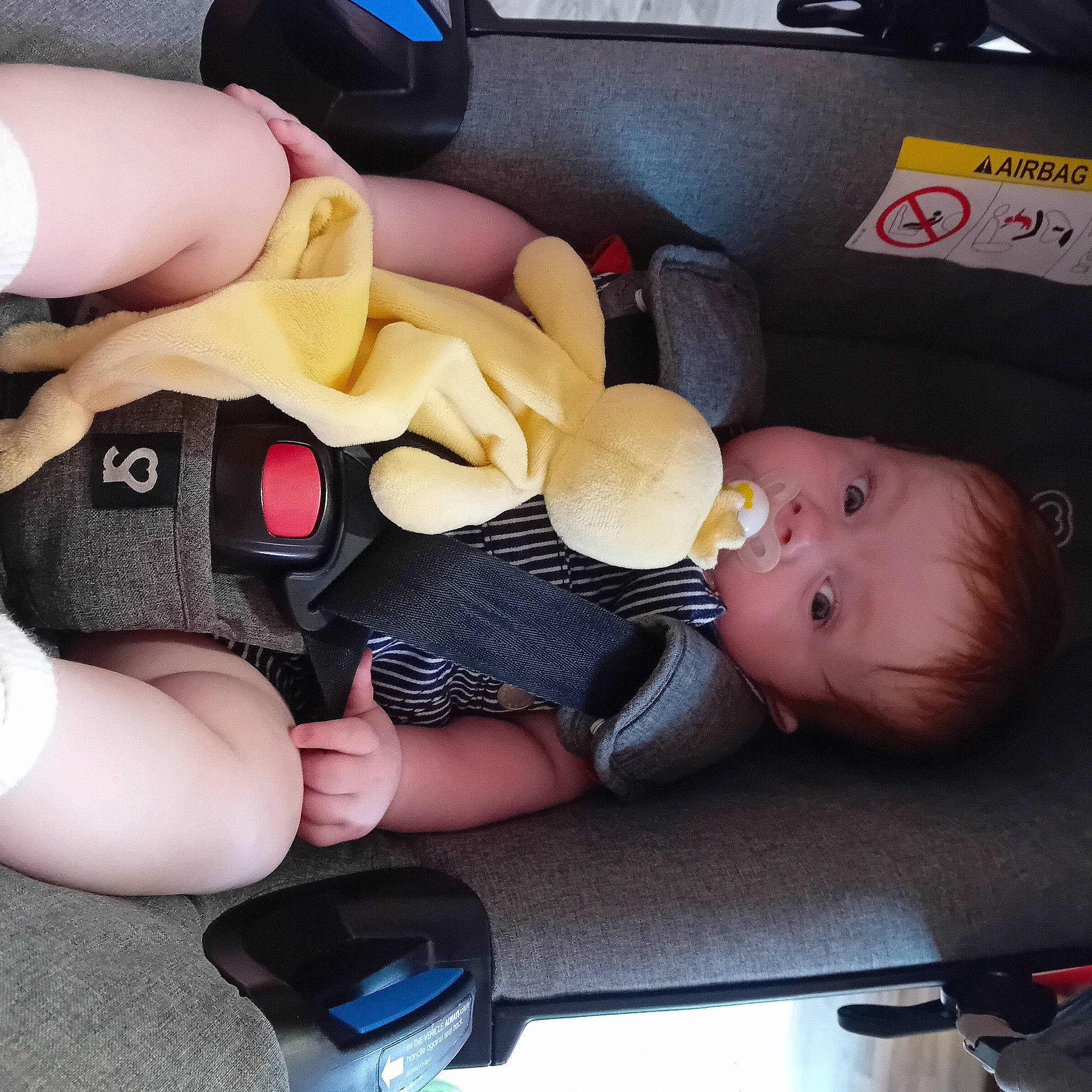 Kobe joined the competition — help win amazing prizes! auto_part, baby, baby_in_car_seat, baby_products, baby_toddler_clothing, car_seat, cheek, child, comfort, finger, gesture, hand, lap, mouth, nail, person, thigh, thumb, toddler, toy