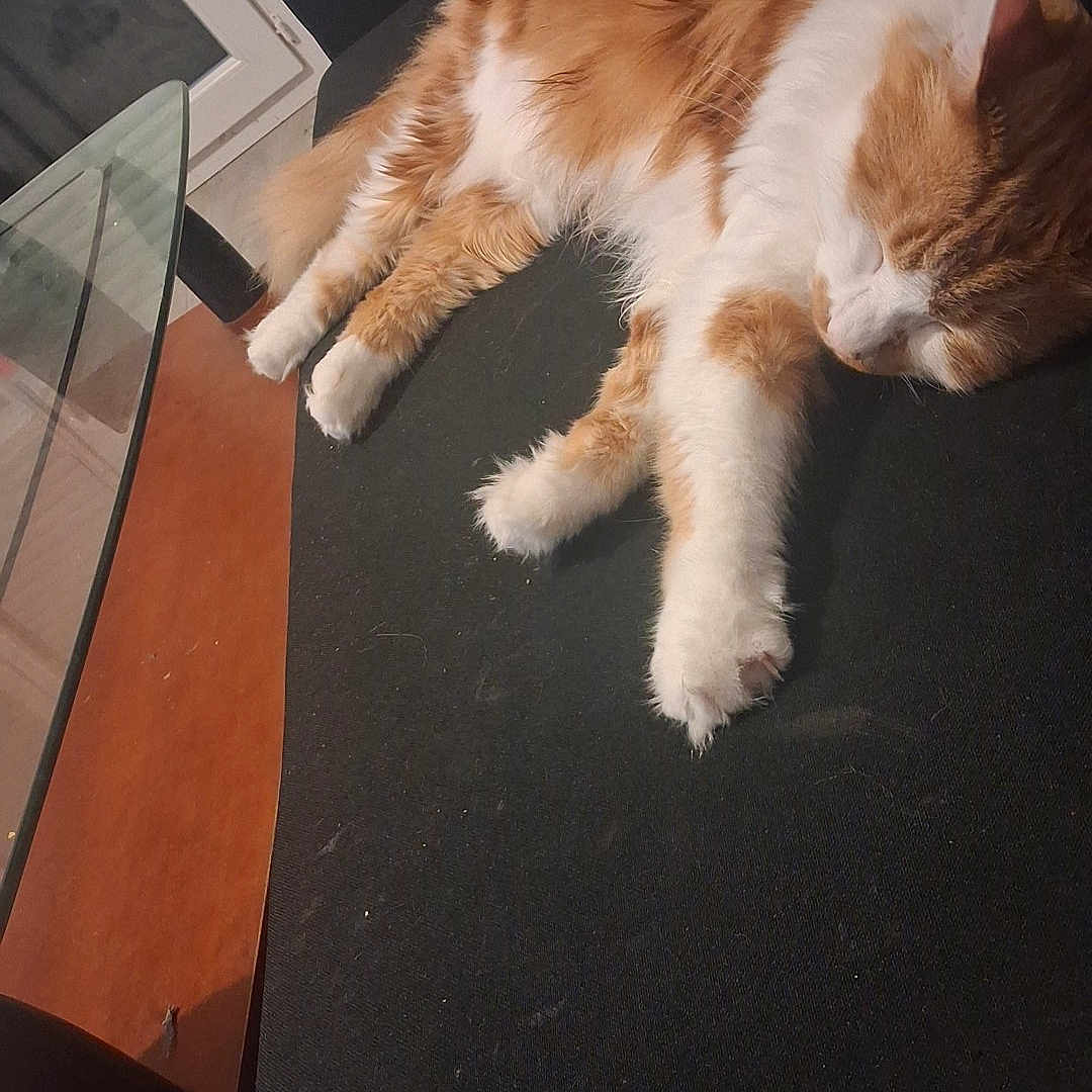 Tom