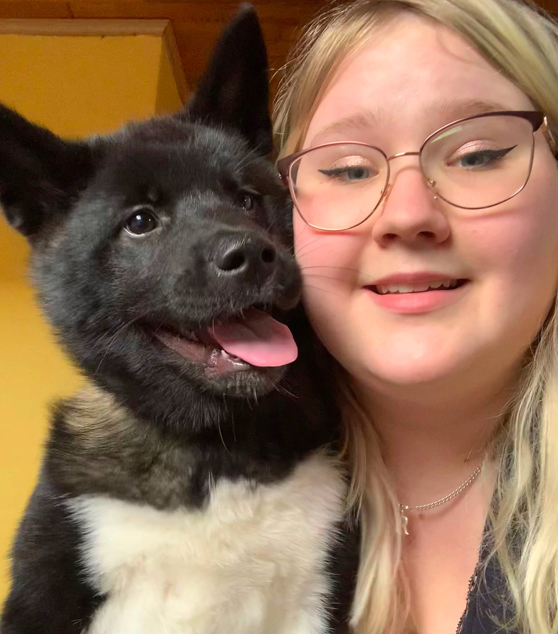 Bonnie a rejoint le concours — aidez-le/la à gagner de superbes lots ! carnivore, companion_dog, dog, dog_breed, ear, eye, eyewear, gesture, glasses, happy, head, jaw, jewellery, mammal, nose, organ, smile, snout, vision_care, whiskers