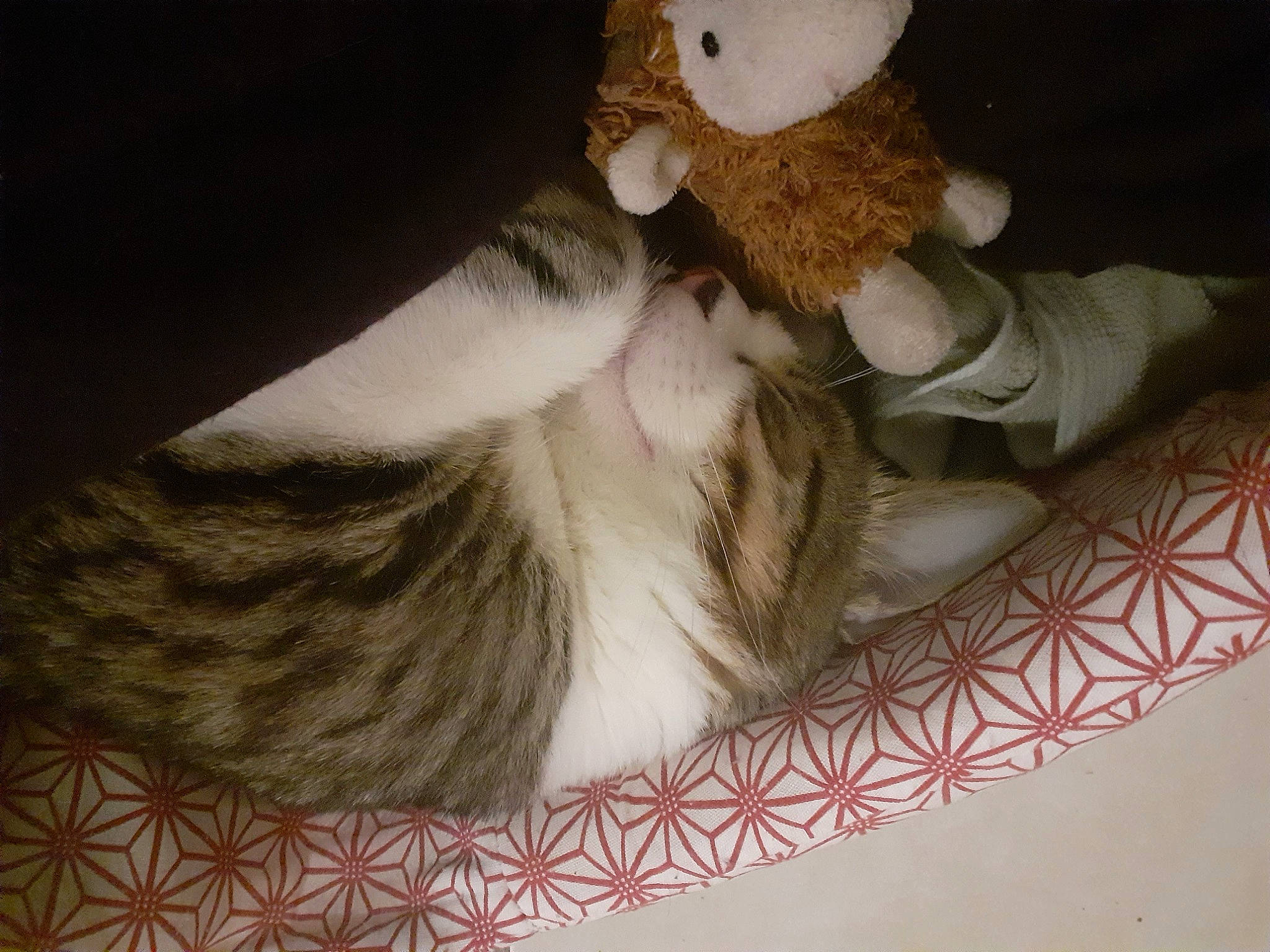 Romy a rejoint le concours — aidez-le/la à gagner de superbes lots ! bed, comfort, companion_dog, doll, fawn, felidae, fur, fur_clothing, linens, pattern, plush, room, small_to_medium_sized_cats, stuffed_toy, tail, teddy_bear, textile, toy, whiskers, wood