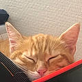 Simon S.