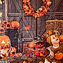 Ova a rejoint le concours — aidez-le/la à gagner de superbes lots ! baby, child, pumpkin, halloween, autumn, fall_leaves, wreath, lantern, jack_o_lantern, costume, hat, hay_bale, cake, decorations, orange, white_pumpkin, smiling, sitting, festive, indoor