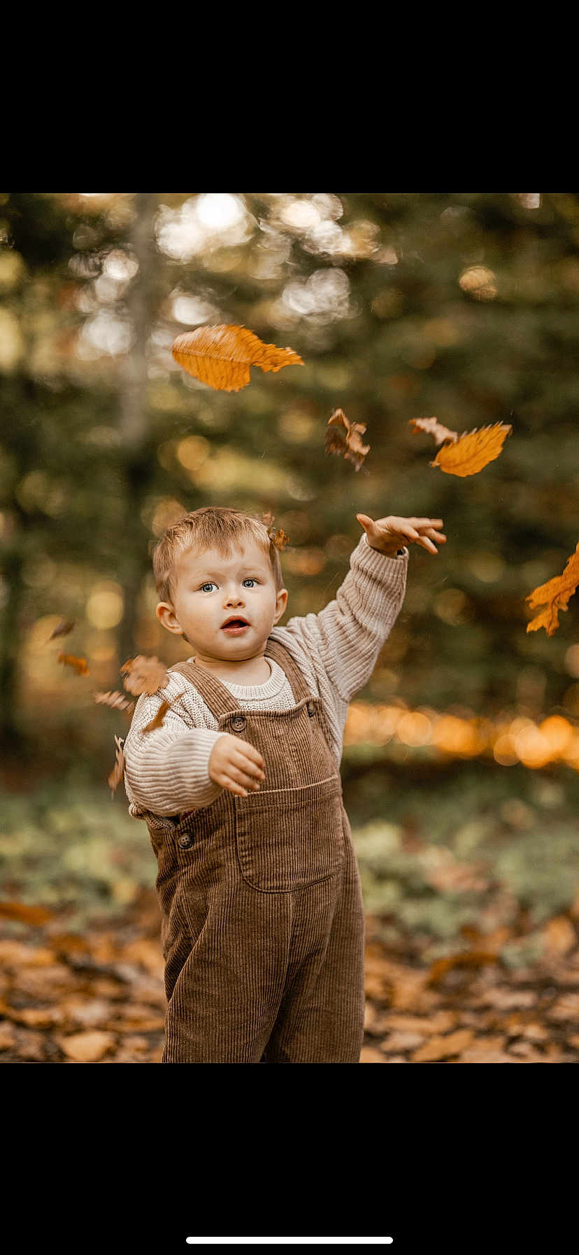 Arsène a rejoint le concours — aidez-le/la à gagner de superbes lots ! toddler, child, autumn, fall_leaves, corduroy_overalls, sweater, outdoor, forest, nature, leaves, playful, seasonal, young_child, portrait, fall_colors, cute, happy, exploring, soft_lighting, bokeh