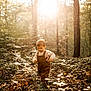 Arsène participe au concours pour gagner de l'argent avec cette photo : child, toddler, forest, nature, sunlight, overalls, autumn, trees, leaves, outdoor, exploring, walking, young_child, sunflare, daylight, casual_clothing, seasonal, greenery, playful, cute