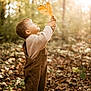Arsène participe au concours pour gagner de l'argent avec cette photo : child, toddler, autumn, leaf, forest, nature, outdoor, sunlight, fall, clothing, curious, standing, brown_overalls, sweater, shoes, trees, leaves, season, daylight, young_child