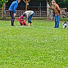 Simba participe au concours pour gagner de l'argent avec cette photo : animal, bending, daisies, dog, dog_training, dogs, forest, grass, lawn, leash, nature, outdoor, park, people, pet, red_clothing, rustic_shelter, standing, trees, walking