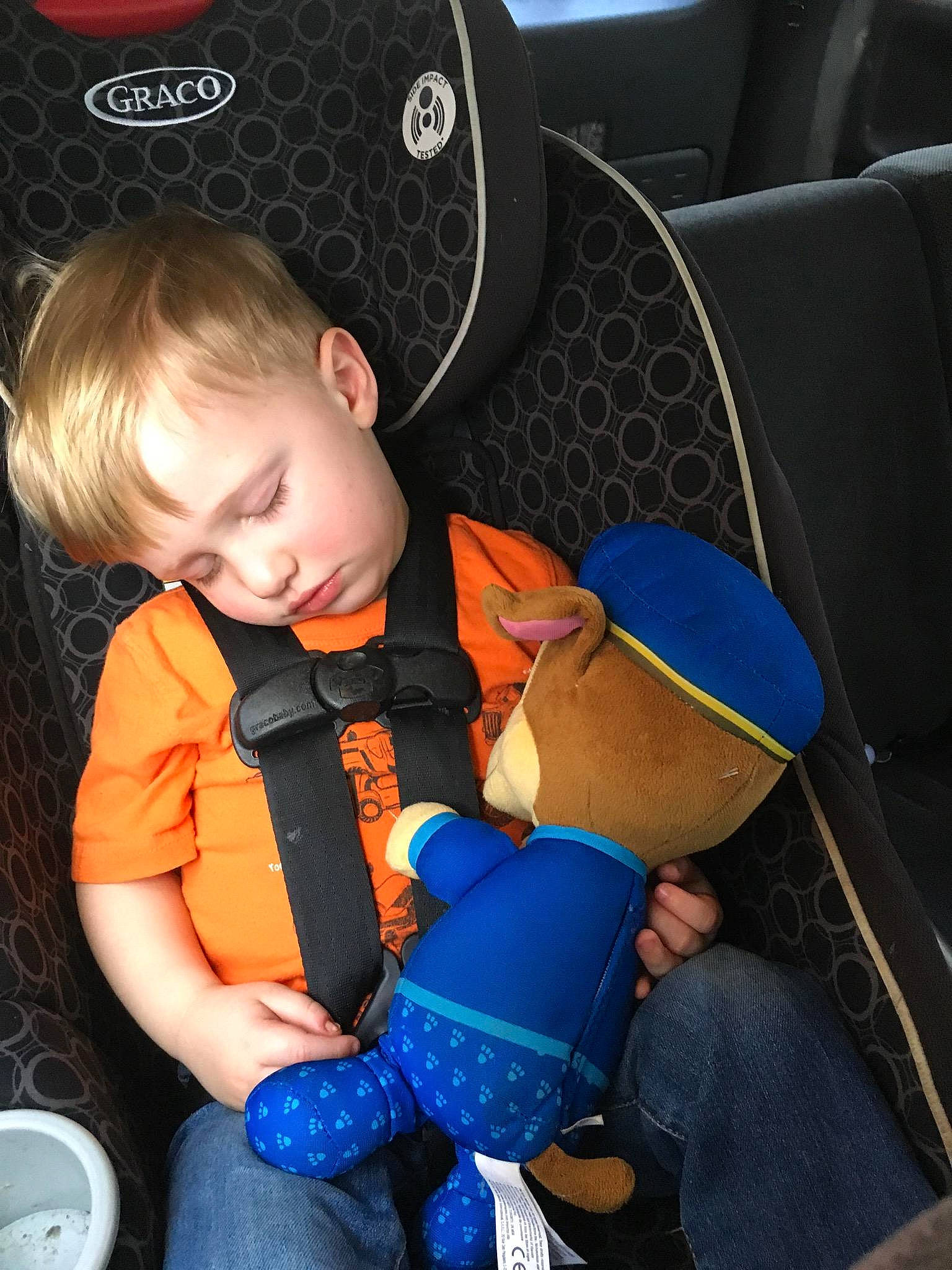 Gauge joined the competition — help win amazing prizes! auto_part, baby_in_car_seat, car_seat, child, person, seat_belt, toddler