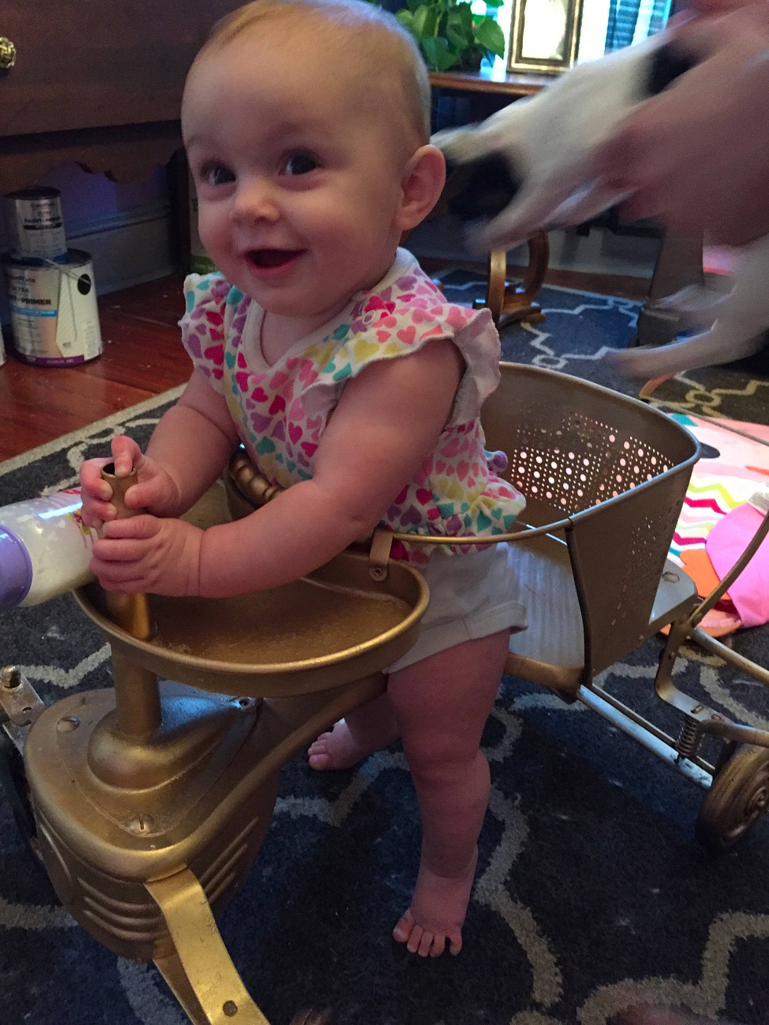 Sharon is registered to the contest to win money with this photo: baby, baby_toddler_clothing, child, finger, fun, hairstyle, hand, head, human_body, human_leg, joy, lap, leisure, person, photograph, sandal, sitting, skin, smile, snapshot