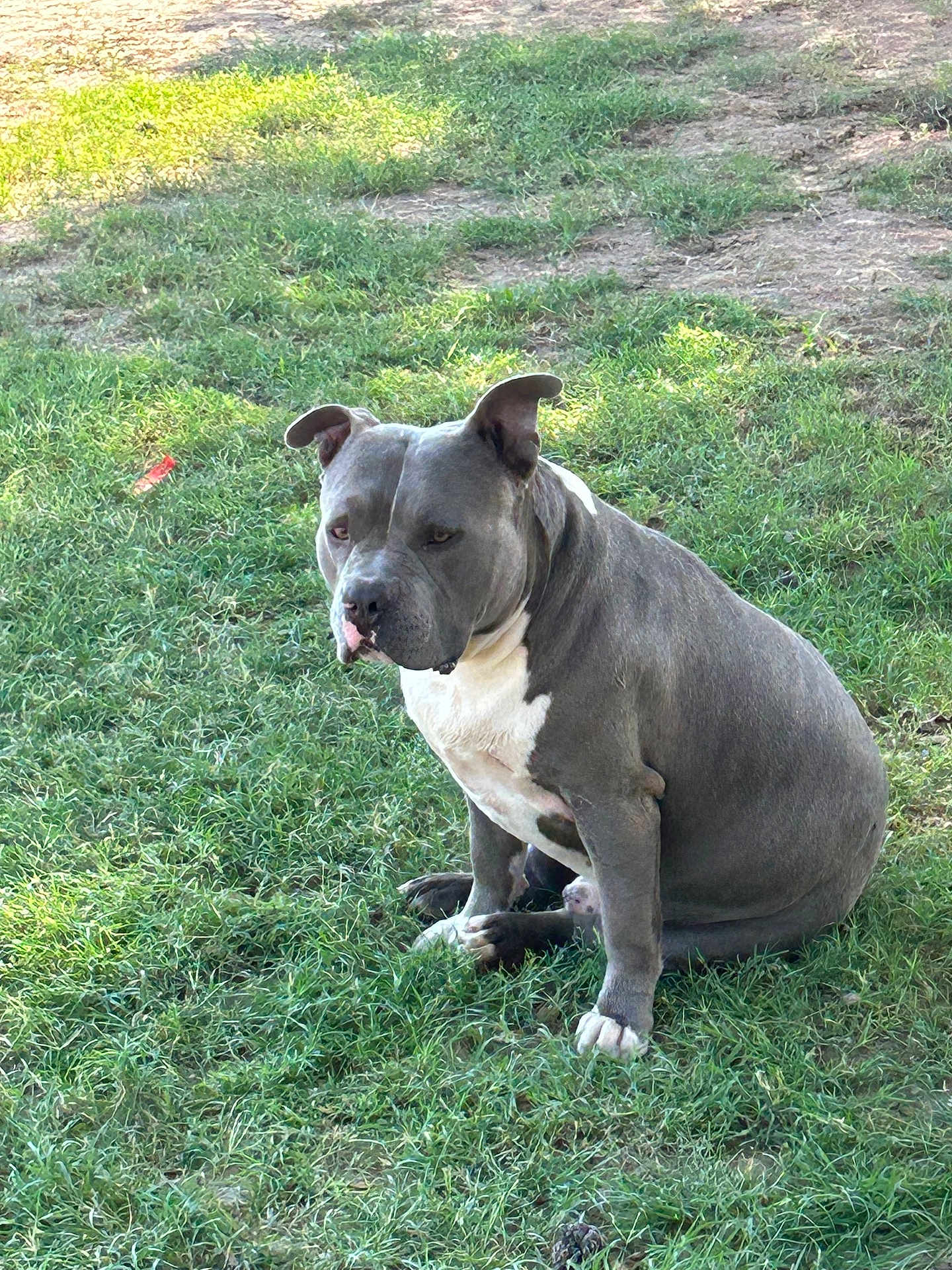Zeus