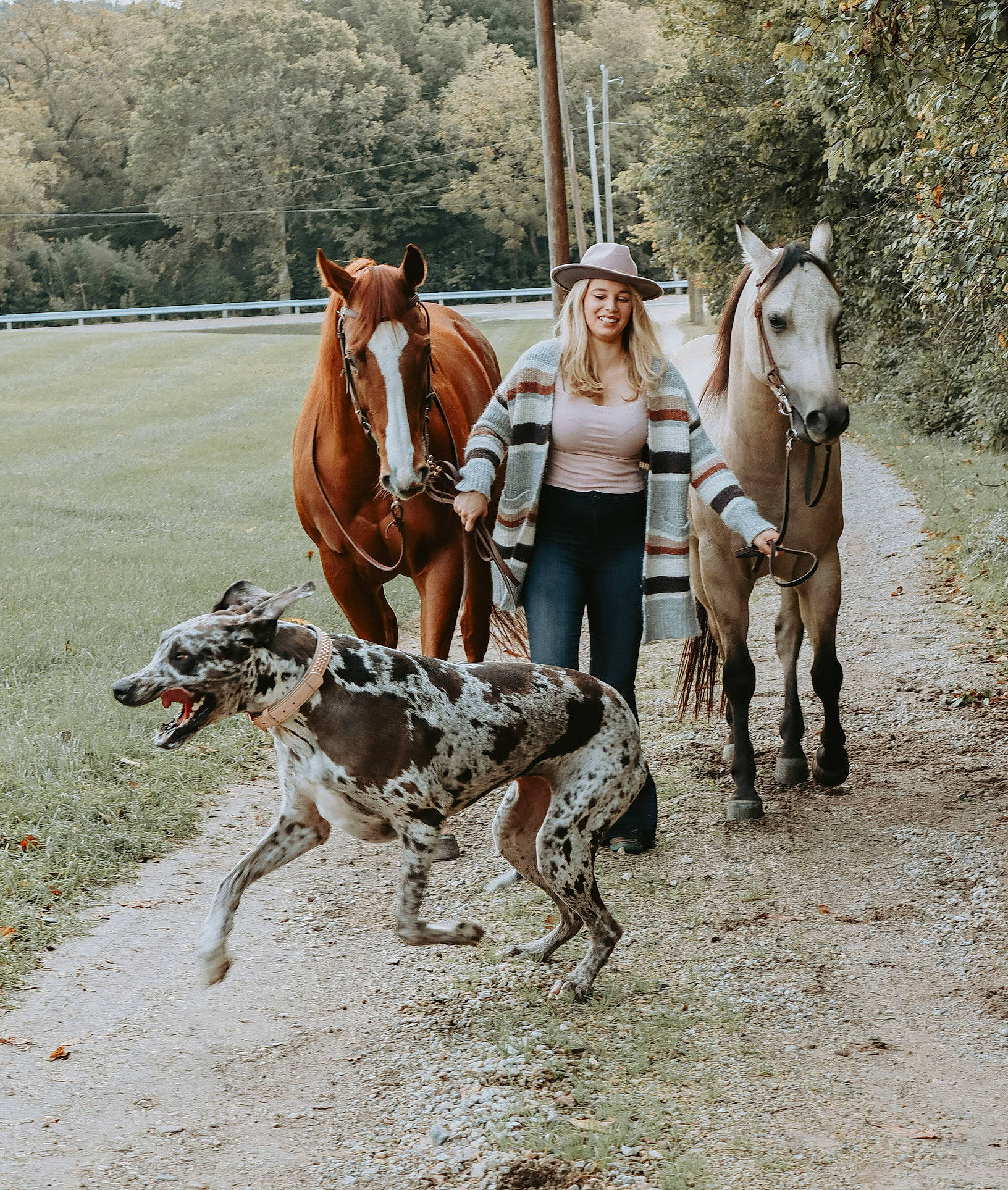 Vada joined the competition — help win amazing prizes! animal_sports, boot, bridle, carnivore, dog, dog_breed, fawn, horse, horse_supplies, horse_tack, landscape, leash, livestock, mammal, pack_animal, rein, sighthound, tree, vertebrate, working_animal