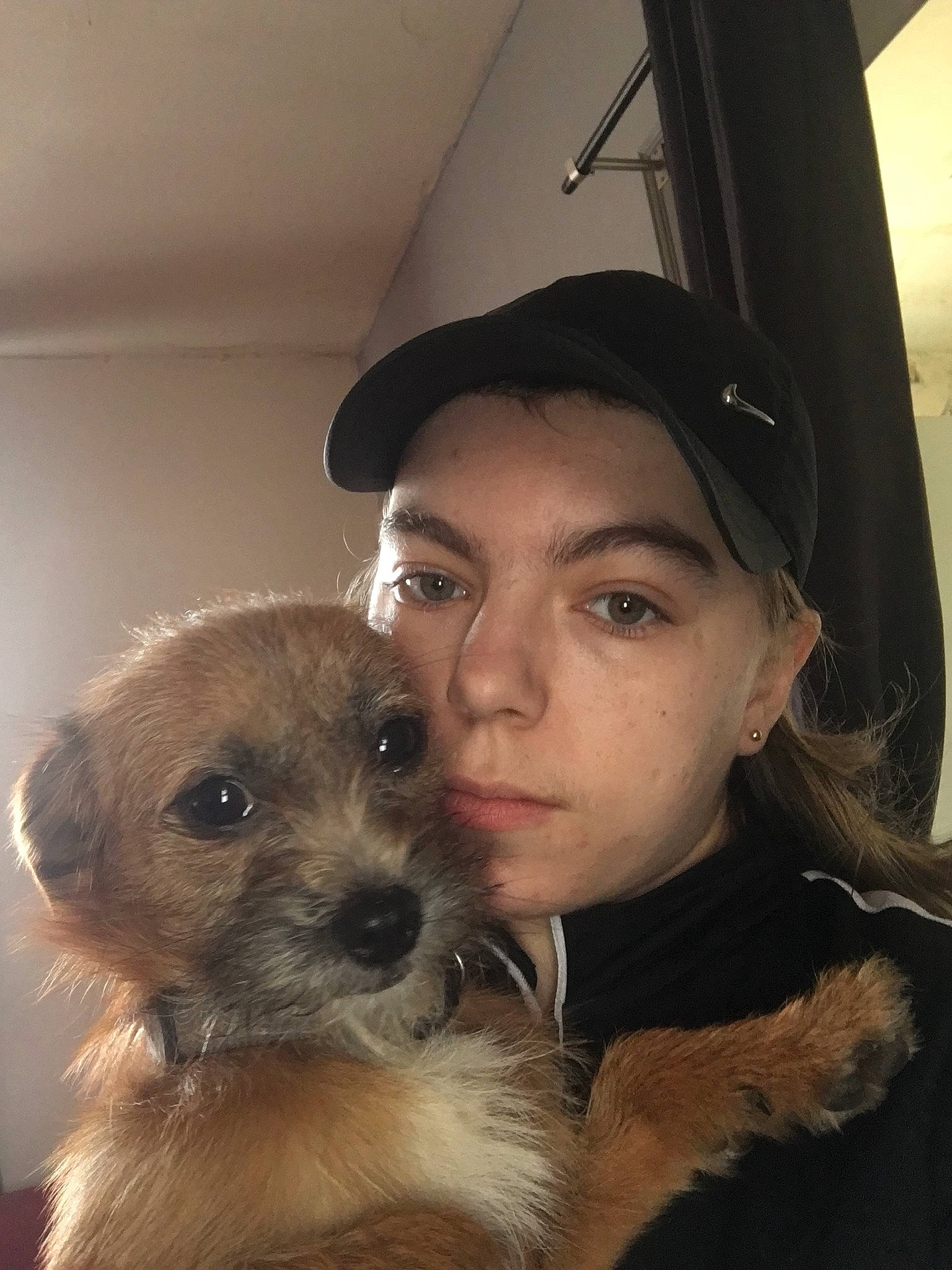 Kenzo participe au concours pour gagner de l'argent avec cette photo : baseball_cap, cap, carnivore, companion_dog, dog, dog_breed, ear, fawn, flash_photography, fur, happy, hat, iris, selfie, skin, small_terrier, snout, sporting_group, toy_dog, whiskers