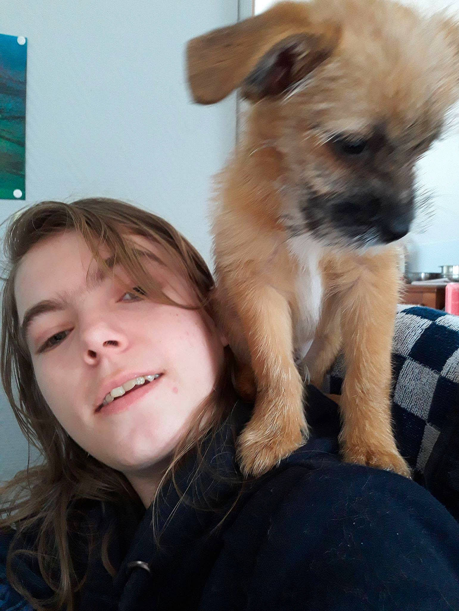 Kenzo participe au concours pour gagner de l'argent avec cette photo : canidae, carnivore, companion_dog, dog, dog_breed, fawn, flash_photography, fur, gesture, happy, organ, selfie, skin, smile, snout, sporting_group, terrestrial_animal, toy_dog, whiskers, working_animal