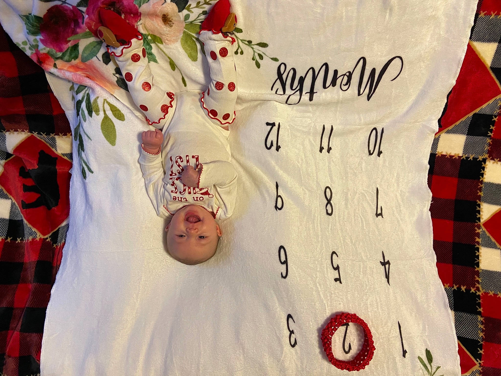 Brynleigh is registered to the contest to win money with this photo: artificial_flower, carmine, coquelicot, creative_arts, cut_flowers, day_dress, dress, embellishment, floral_design, handwriting, linens, one_piece_garment, pattern, peach, person, petal, plaid, red, tartan, textile