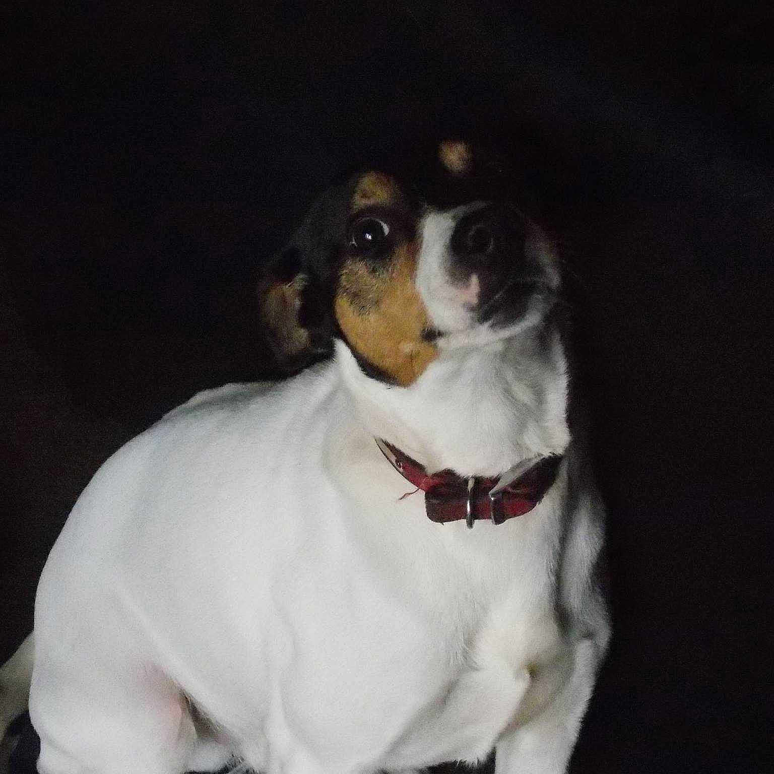 Dennis is registered to the contest to win money with this photo: