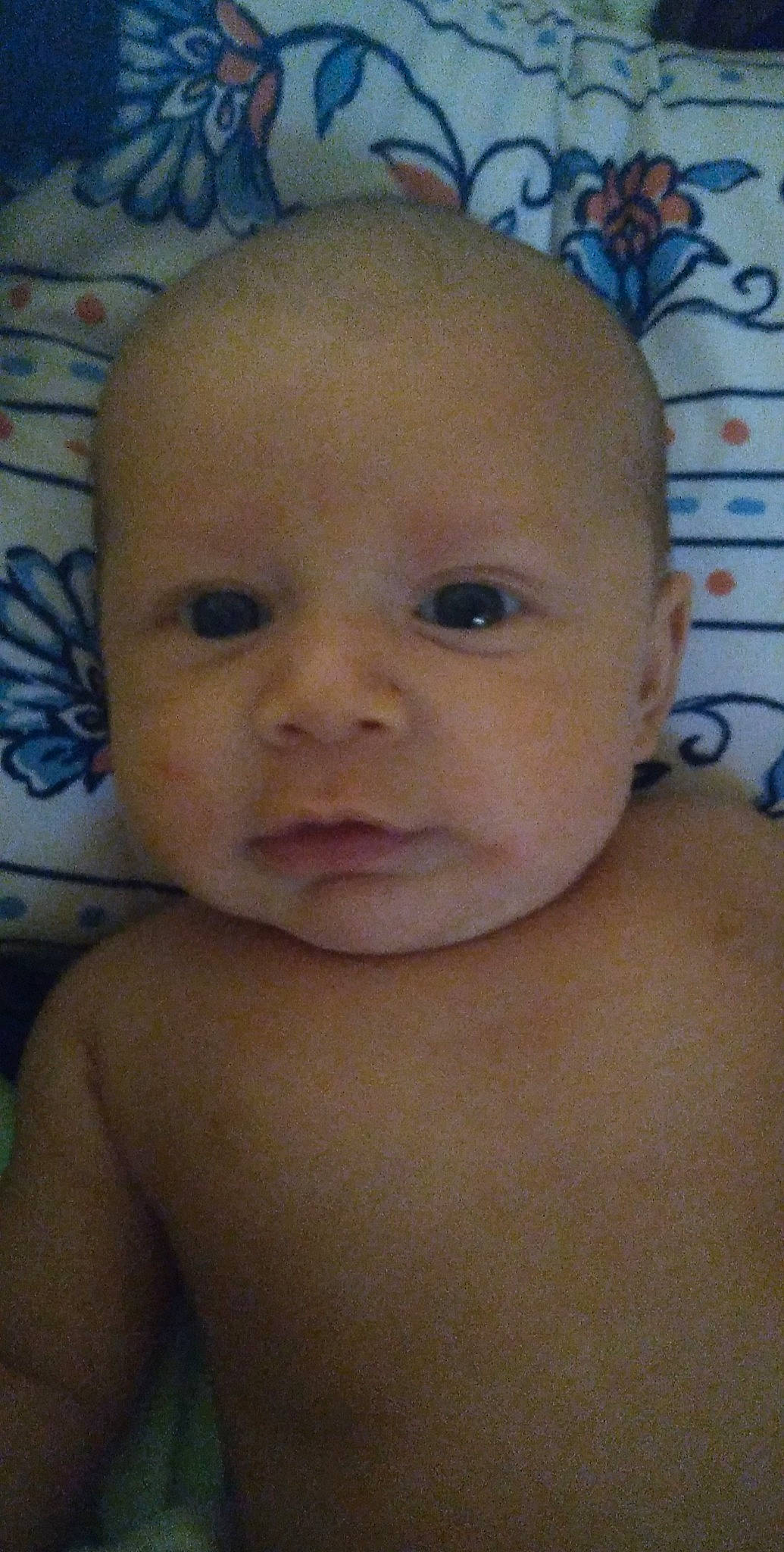 Kota joined the competition — help win amazing prizes! baby, cheek, chest, child, chin, close_up, ear, eye, eyebrow, eyelash, facial_expression, forehead, happy, iris, lip, mouth, nose, person, skin, toddler