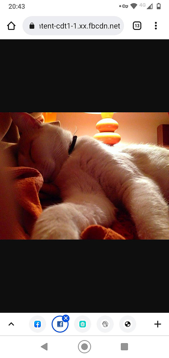 Tac a rejoint le concours — aidez-le/la à gagner de superbes lots ! ball, comfort, darkness, finger, foot, heat, human_leg, linens, nail, orange, peach, recreation, room, sky, still_life_photography, textile, thumb, tints_and_shades, wood, wrist