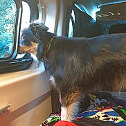 Lou a rejoint le concours — aidez-le/la à gagner de superbes lots !