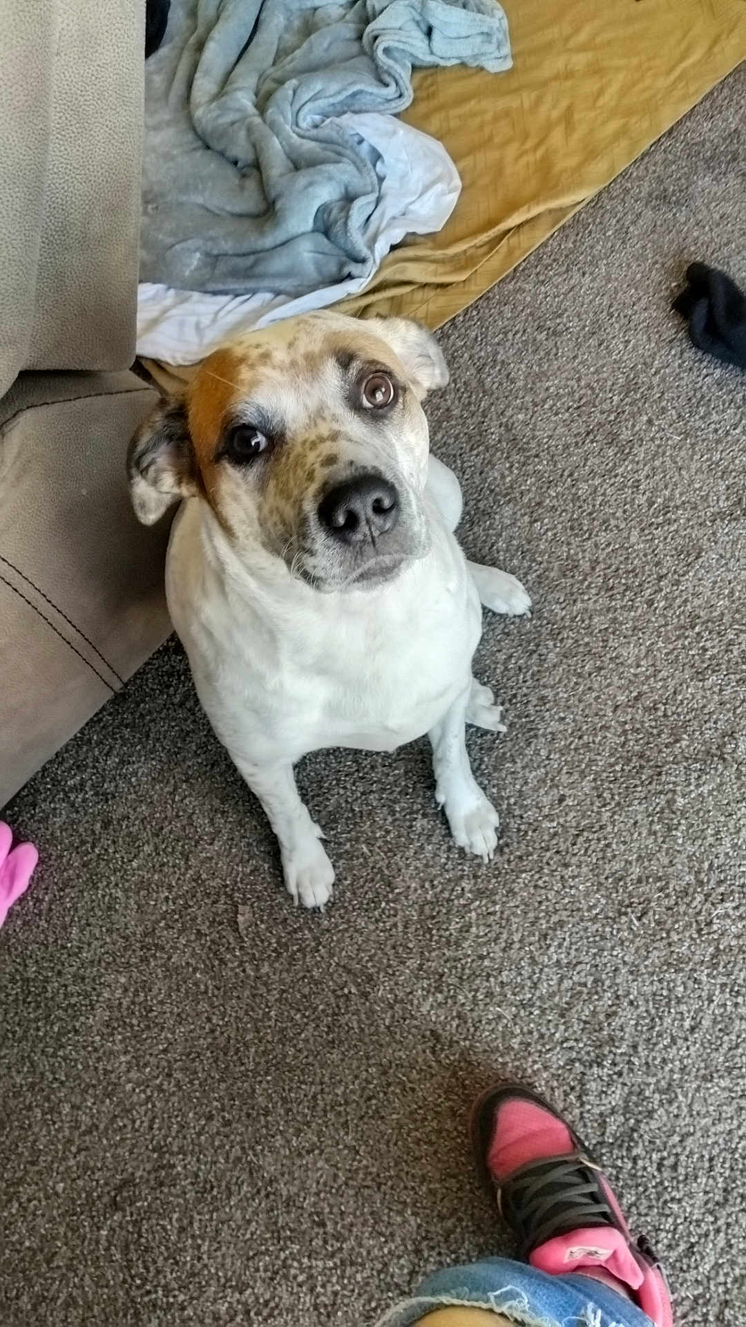 Lucy
