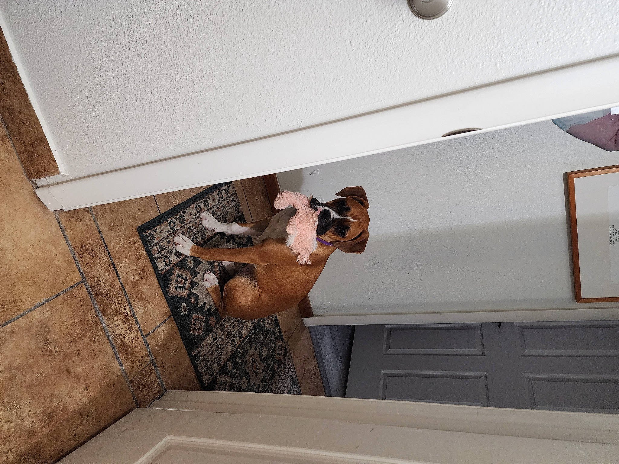 Lighting joined the competition — help win amazing prizes! ceiling, comfort, elbow, floor, flooring, fun, hardwood, human_leg, metal, plaster, room, stairs, thigh, wood, wood_flooring