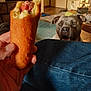 dog, corn_dog, hand, indoor, living_room, floor, carpet, furniture, blurred_background, brown_dog, pet, looking, food, snack, human_hand, wood_floor, expression, waiting, focus, casual