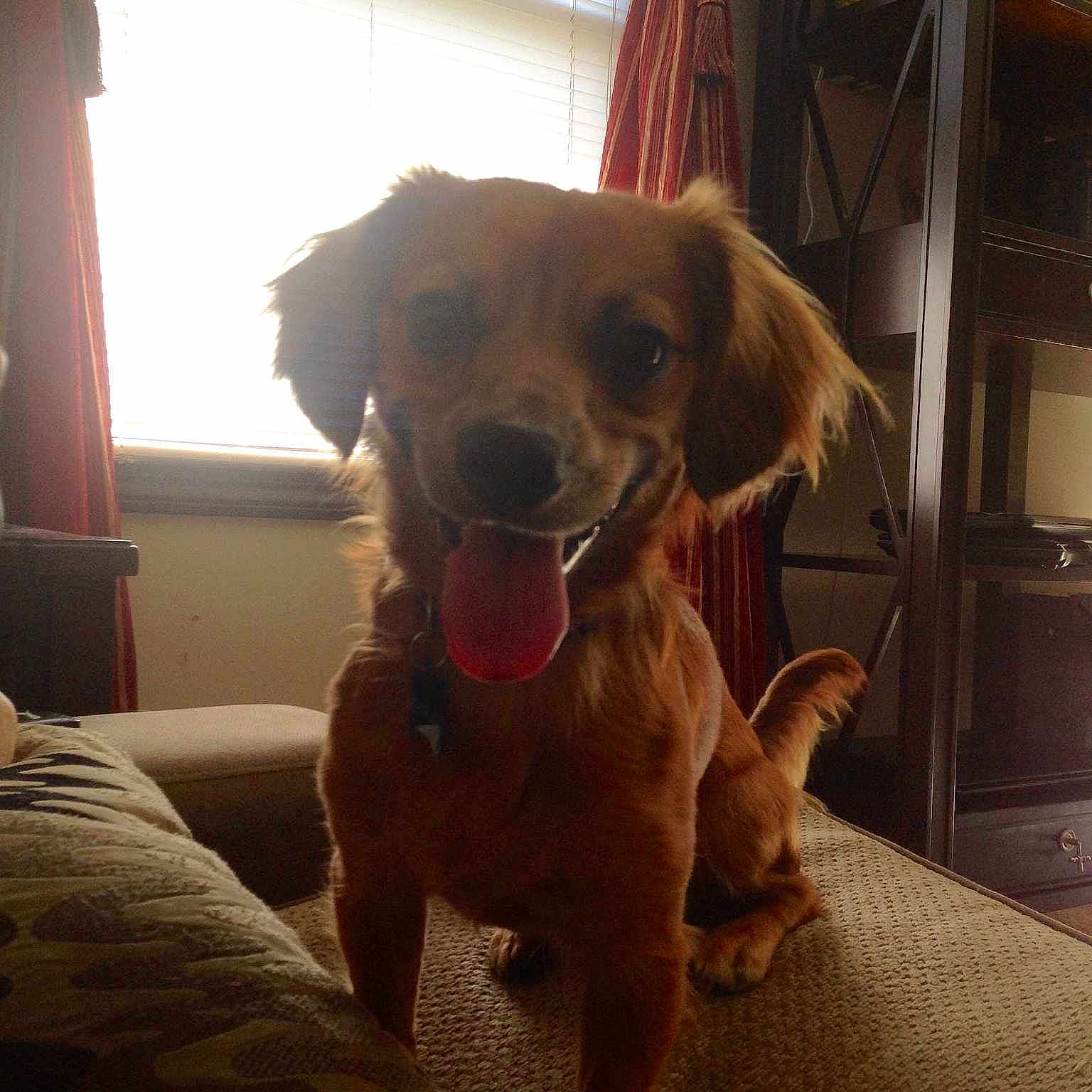 Charlie is registered to the contest to win money with this photo: